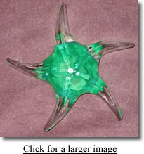 LKDN green starfish for donor recognition